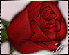SC: Rose |Red