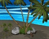 palm trees with rocks