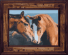 [M] Mustang Pic 10