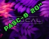 PASCAL