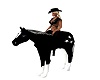 Cowboys Star Horse