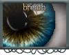 ß`Untitled Eyes | 1