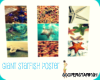 Giant Starfish collage