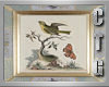 CTG ANTIQUE ART BIRDS V5