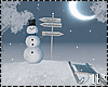 Snowman & Sledge Winter
