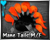 D~Mane Tails: Orange