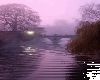 Water scene animated