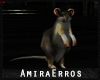 AR/♥ Rat