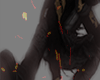 Ninja (animated)