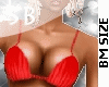 **SB CARLY BIKINI RED BM