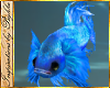 I~Angel Fish*Blue