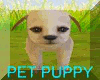 PET PUPPY