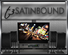 T3 SatinBound HDTV