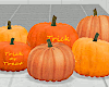 Fall Halloween Pumpkins