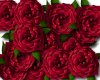 Red Rose Boquet