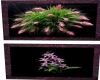3flowering plant picture