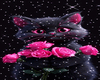 C4T P!NK ROS3S BG
