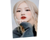 rose pro rose pro