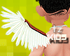 tz ❌ Cupid wings