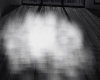Jenny Cloud