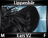 Lippenbär Ears V2