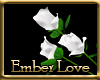 Ember Love Roses