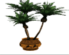 palm trees/vase