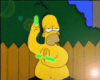 [Y]Homer Simpson