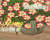 SM@Basket Flowers