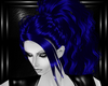 blue england hairs