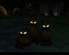 Black  Pumpkins Cats