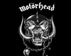 ☠ | Motörhead blk F