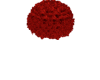 Rose Arrangement | Ruby