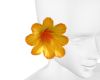 X. Tropicoqueta Flower 2