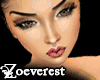 *Z* Perfect Tester 040