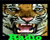 CS Tiger Radio
