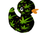 weed duck