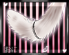 O " RAGGIE tail