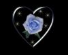 blue glitter rose