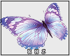 !R Butterflies M/F