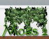 ~Moss 2~