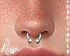 DRV. Septum  M