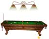 Golden Pond Pool Table F