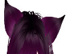 Purple Cat Ears