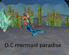 D.C mermaid paradise