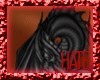 [HATE] Dragon2 Back TatM