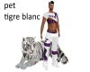 tigre blanc