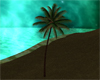 animated palm tree [Air]