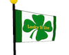 Lucky Irish Flag