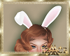 AC! Easter Bunny Ears